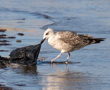 船舶、航运与港口：海洋治理的关键支点与行动指南
